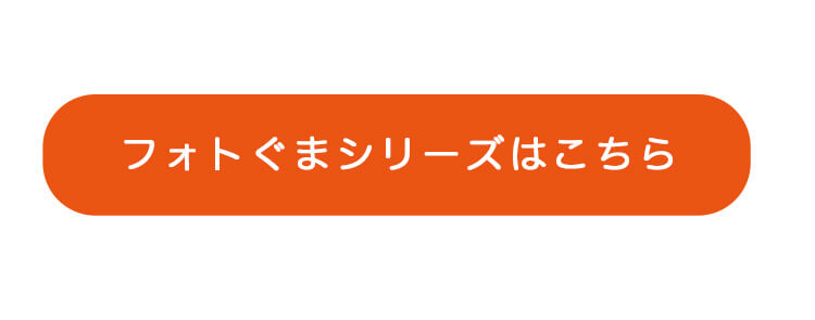 フォトぐまポージング